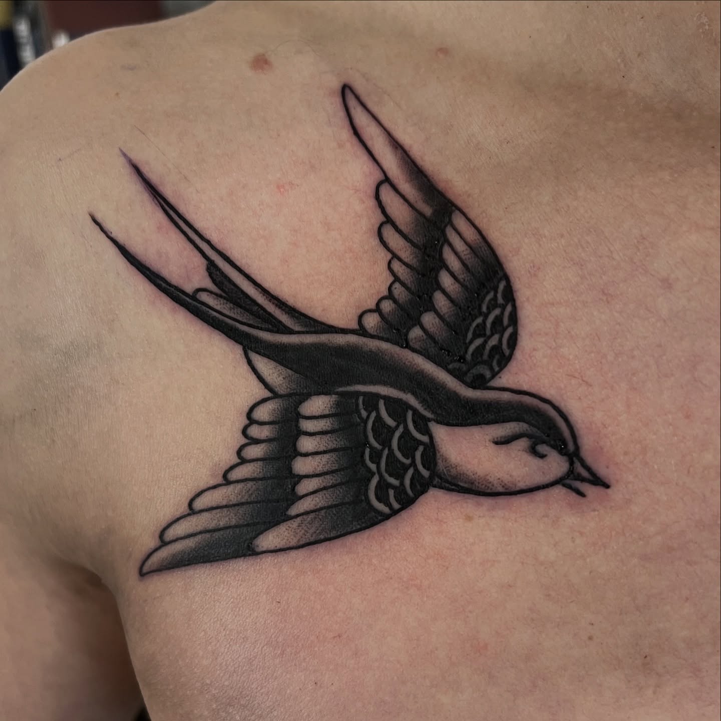 Traditional swallows for @pavelkrotov thanks for choosing a classic solid design, always in style, bold will hold ! #trad #traditional #tradionaltattoos #swallow #black #blacktattoo