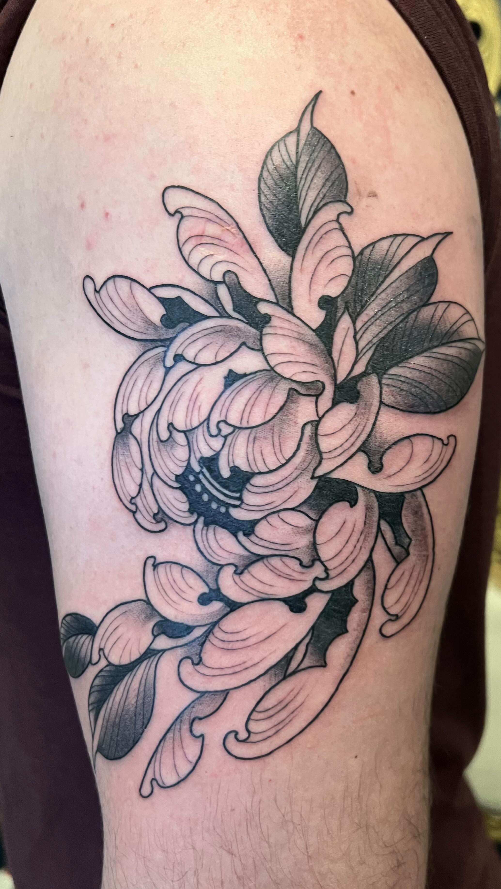 Had a lot of fun free handing this Chrysanthemum flower on for Henry. It’s something I chose to do last minute and am ever so pleased with the outcome. Free hand allows for a complete synergy with the body muscle formation. It’s something I’m keen to do more of. #free #freehandtattoo #freehand #flower #japanesetattoo #japanese #sleeve #sleevetattoo